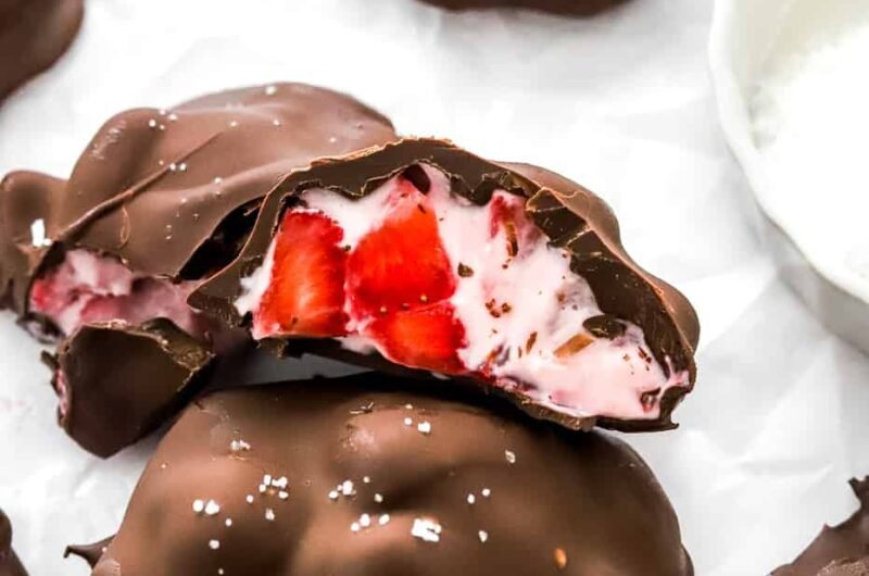Chocolate Strawberry Frozen Yogurt Bites